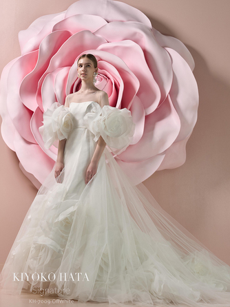 パレスグランデール 衣裳2画像 2-2