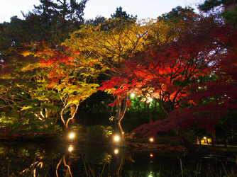 東京マリオットホテル 庭園3画像 1-3