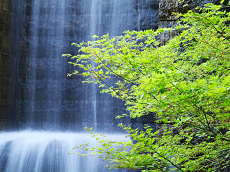 東京マリオットホテル 庭園3画像 1-2