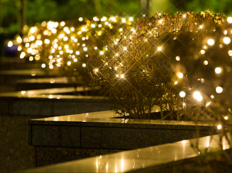 東京マリオットホテル 庭園3画像 1-4