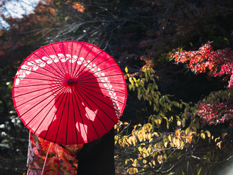 東京マリオットホテル 庭園1画像 2-3