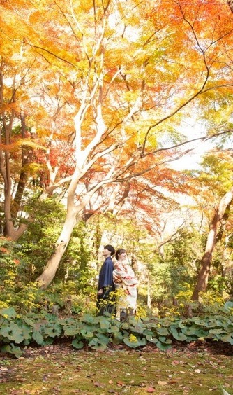東京マリオットホテル 庭園1画像 1-1