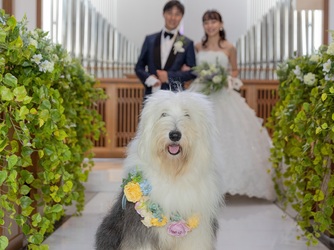 ホテルスプリングス幕張 教会(チャペル)画像 2-2