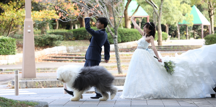 ホテルスプリングス幕張 撮影スポット1画像 2