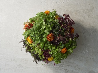 Q.E.D.CLUB 料理・ケーキ2画像 1-3