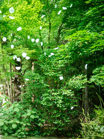 THE FUJIYA GOHONJIN(藤屋御本陳) ロケーション2画像 1-2