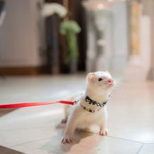 アニバーサリーガーデン 南蔵王・聖ペトロ教会 その他4画像 2-2