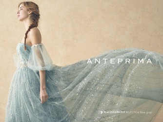 星ヶ丘迎賓館 アートグレイスクラブ 衣裳画像 1-3