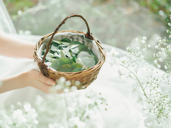 星ヶ丘迎賓館 アートグレイスクラブ セレモニースペース(独立型チャペルで叶えるフラワーシャワー)画像 2-3