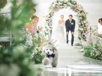 アートグレイス ウエディングコースト 東京ベイ 演出画像 1-2