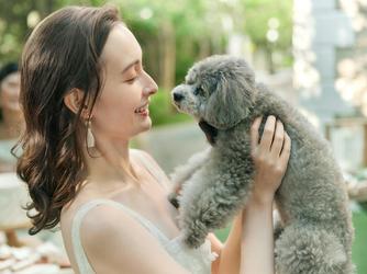 アプローズスクエア 東京迎賓館 演出2画像 2-2