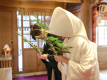 うつくしの杜 射水神社結婚式場 神社(うつくしの杜 射水神社結婚式場)画像 2-3