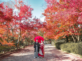 うつくしの杜 射水神社結婚式場 ロケーション画像 2-3
