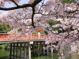 うつくしの杜 射水神社結婚式場 ロケーション画像 1-3