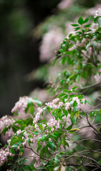 有栖川清水 その他5画像 1-1