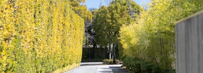 有栖川清水 ロケーション画像 2-1