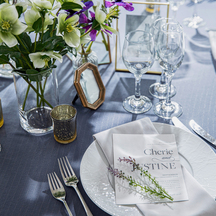 The Opera(オペラ) 演出画像 2-1