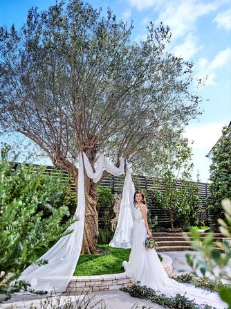 京都ノーザンチャーチ北山教会 / Guest House 北山倶楽部 チャペル(京都ノーザンチャーチ北山教会)画像 2-1