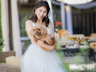 Bellesaison(ベルセゾン) レストラン「ボヌール」画像 2-1