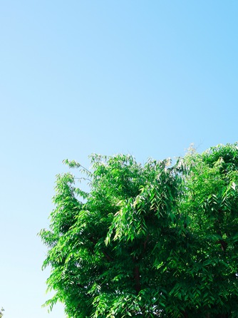 ベルフォーレ松山 セレモニースペース(ガーデン)画像 1-1