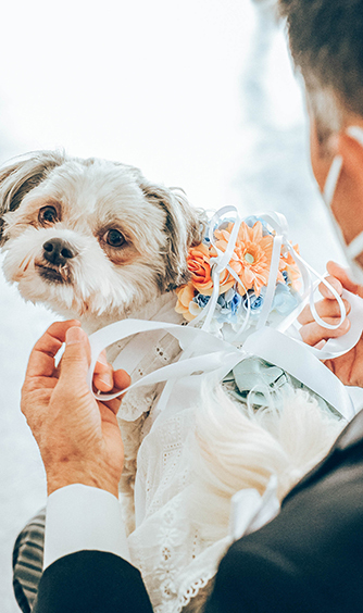 会津 写遊庭 「SMILE WEDDING」画像 1-1