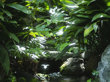 浮月楼(国登録名勝/国登録有形文化財) 庭園2画像 2-3