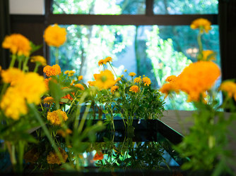 浮月楼(国登録名勝/国登録有形文化財) 大人数披露宴におすすめ「月光の間」画像 2-4