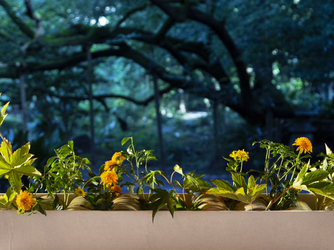 浮月楼(国登録名勝/国登録有形文化財) 少人数・家族婚におすすめ「葵の間」画像 2-2