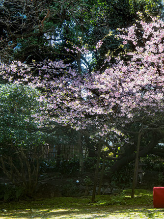浮月楼(国登録名勝/国登録有形文化財) 庭園2画像 1-1