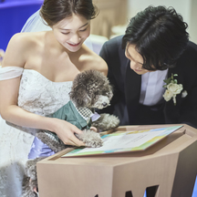 アニヴェルセル 白壁 演出画像 1-2