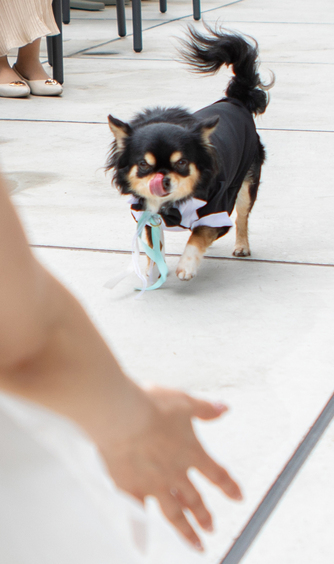 ワン・ステーションホテル熊本(ONE STATION HOTEL KUMAMOTO) 遂に新会場誕生!自由で気楽な感覚パーティ画像 2-1