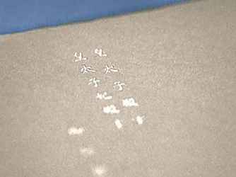 迎賓館 歴史画像 2-3