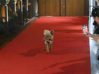 Mia Via 演出2画像 2-3