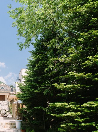 ＶＩＬＬＡＳ　ＤＥＳ　ＭＡＲＩＡＧＥＳ　軽井澤（ヴィラ・デ・マリアージュ　軽井澤） セレモニースペース(｜旅をしてでも訪れたい｜祝福の降る町)画像1-2
