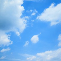 The Okura Tokyo(オークラ東京) 庭園画像 1-2