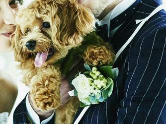 ア・ラ・モード パレ&ザ・リゾート チャペル(森のチャペル【ラヴェイユ】)画像 2-4