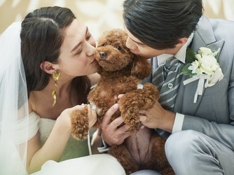 ロザンジュイア 広尾迎賓館 チャペル(天高8m、3面窓から陽光差し込むチャペル)画像 2-3