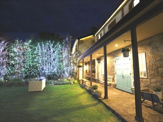 コニストン ガーデン イルミネーション輝くナイトウェディング画像 2-3