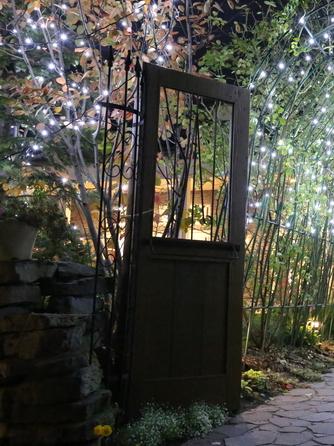 コニストン ガーデン イルミネーション輝くナイトウェディング画像 1-1