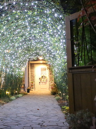 コニストン ガーデン イルミネーション輝くナイトウェディング画像 1-2