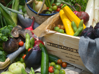 フェリーチェガーデン日比谷(日比谷公園内) 料理・ケーキ1画像 2-2