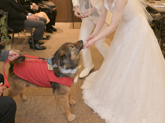 フェリーチェガーデン日比谷(日比谷公園内) ペットも参加可能な結婚式♪画像 2-4