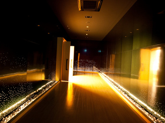 Geo World VIP(ジオ・ワールド ビップ) 神殿(伝統とモダンが調和する「和STYLE」)画像 2-3