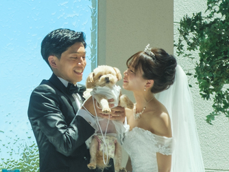 ヒルトン小田原リゾート&スパ(Hilton Odawara Resort & Spa) ドッグホテル完備!パートナーウェディング画像 2-3