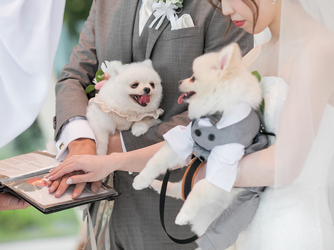 ヒルトン小田原リゾート&スパ(Hilton Odawara Resort & Spa) ドッグホテル完備!パートナーウェディング画像 1-2