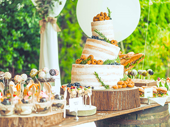 アイネスヴィラノッツェ宝ヶ池 演出2画像 1-4