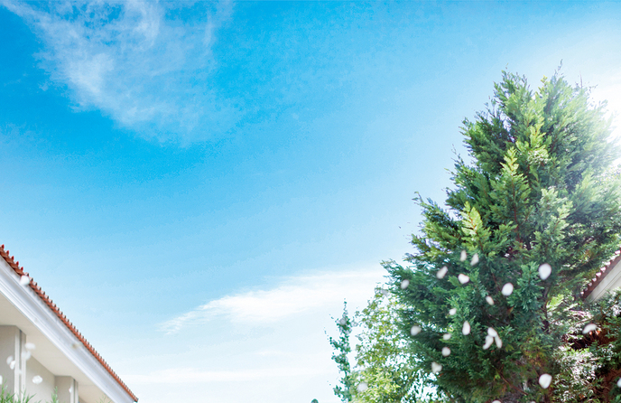 アイネスヴィラノッツェ宝ヶ池 セレモニースペース(憧れの大階段でフラワーシャワー)画像 1