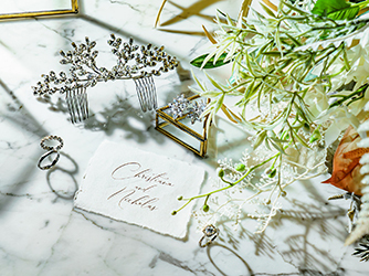 アイネス ヴィラノッツェ オーシャンポートサイド セレモニースペース(全天候型の大階段で、祝福のセレモニー)画像 2-3