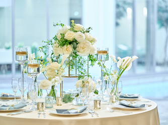 ALCAZAR AVVIO(アルカーサル・アヴィオ) Applauso画像 2-2