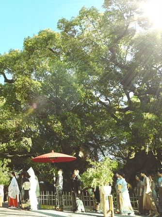 浜松八幡宮 楠倶楽部 神社(浜松八幡宮)画像 1-2